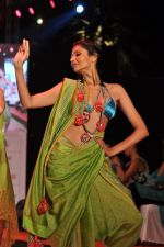 Model walk the ramp for Anupama Dayal Show at IRFW 2012 Day 1 in Goa on 28th Nov 2012 (75).JPG